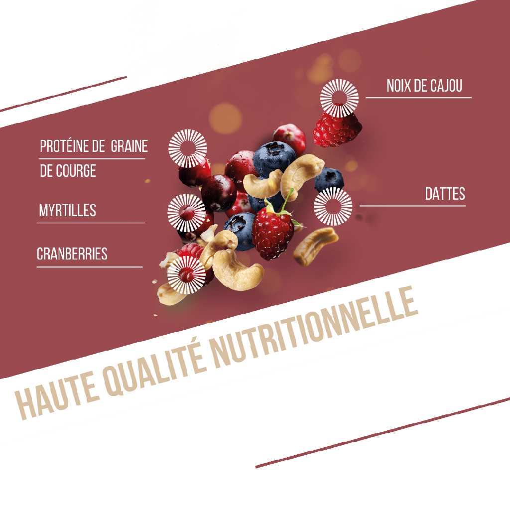 PROTÉINÉE / FRUITS ROUGES - CAJOU