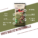 EXTRA / OLIVE - CAJOU