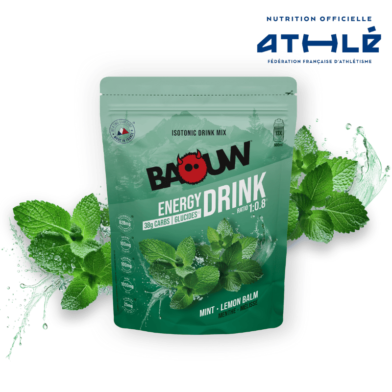 Menthe - Mélisse 585g